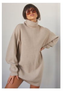 Nadine Turtleneck Sweater Dress